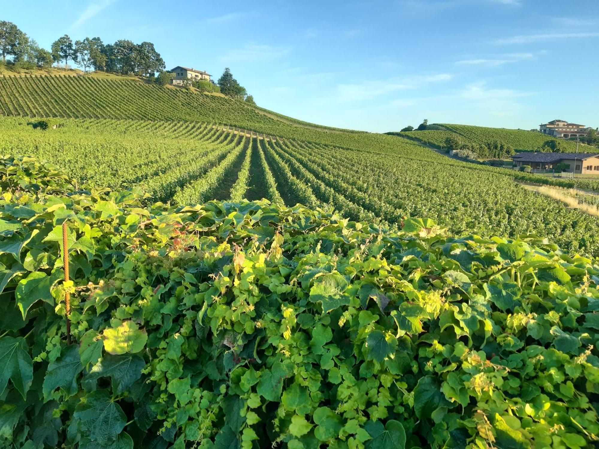 Appartamento Franciacorta Cazzago San Martino Екстериор снимка
